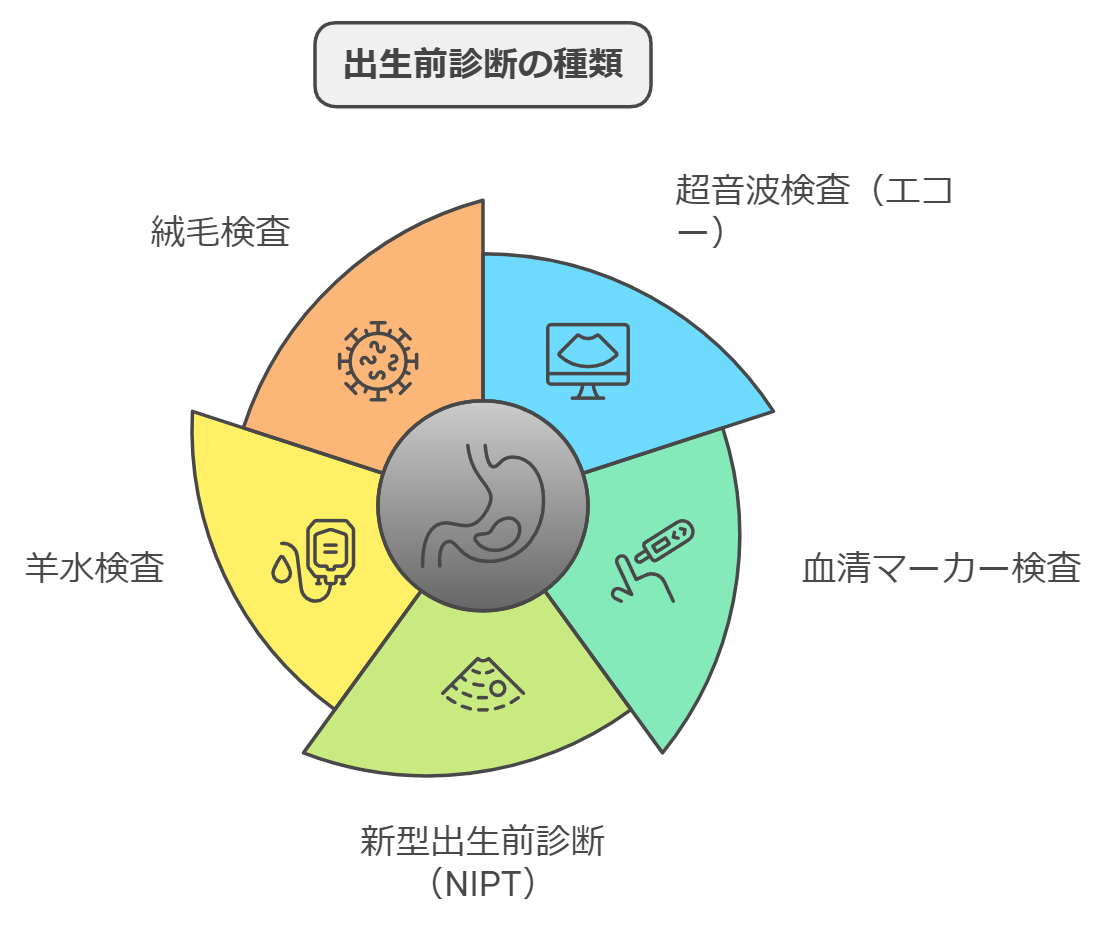 妊娠中に障害がないか不安を感じたら、まずは出生前診断を「出生前診断の種類」