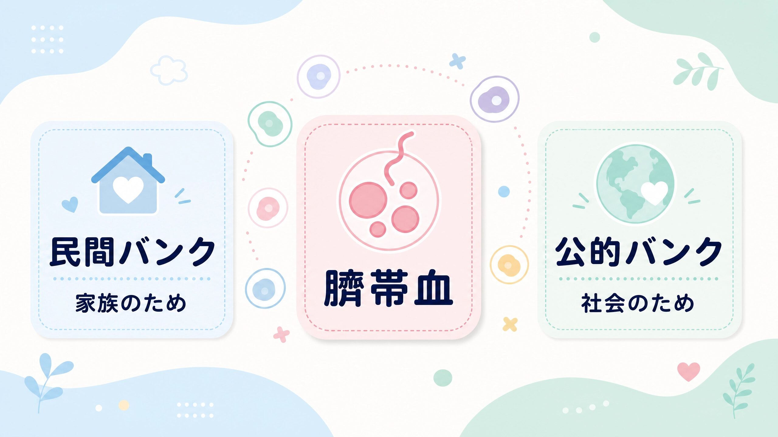 臍帯血とは何かと民間バンクと公的バンクの違いを説明する図解画像