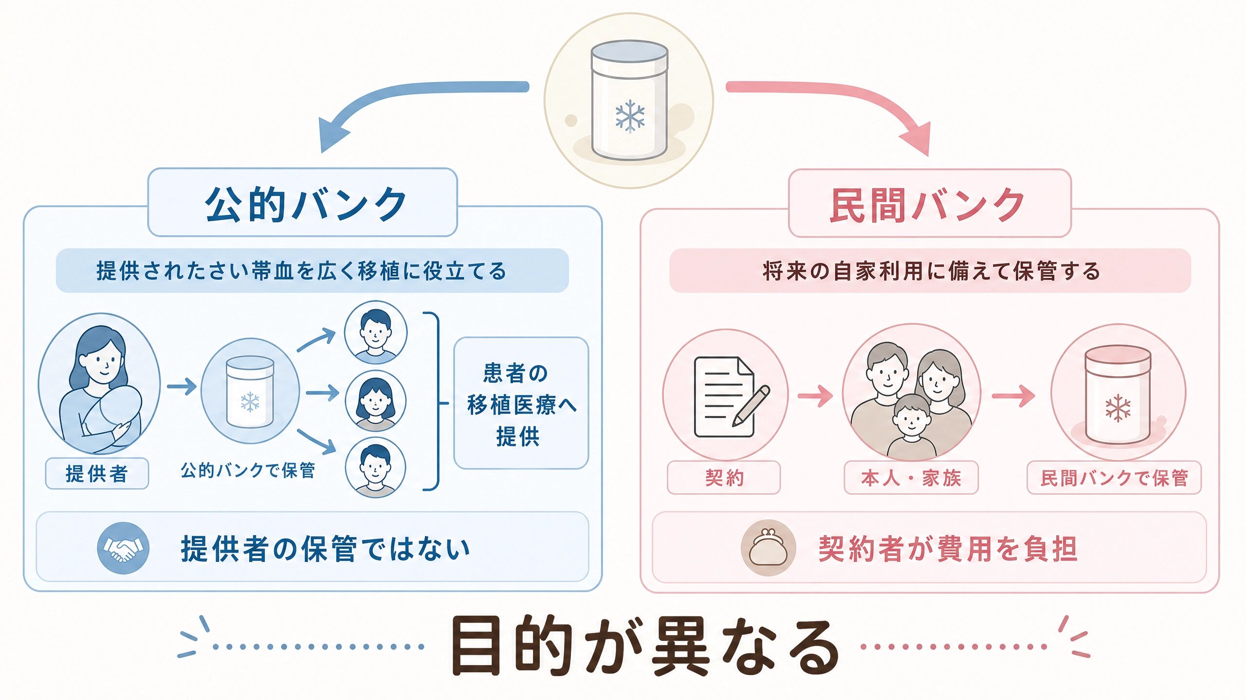 公的さい帯血バンクへの提供と民間バンクでの家族用保管の目的の違い
