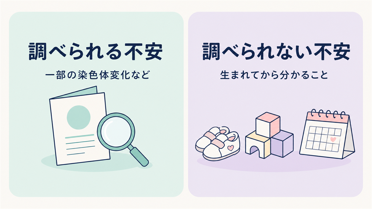 妊娠中の不安を調べられる範囲と生まれてから分かる範囲に分けて整理した図