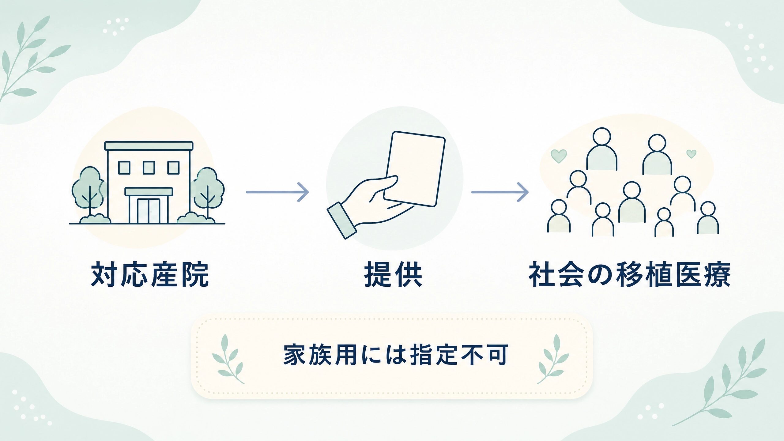 公的臍帯血バンクへの提供が社会の移植医療につながる仕組みを示す画像