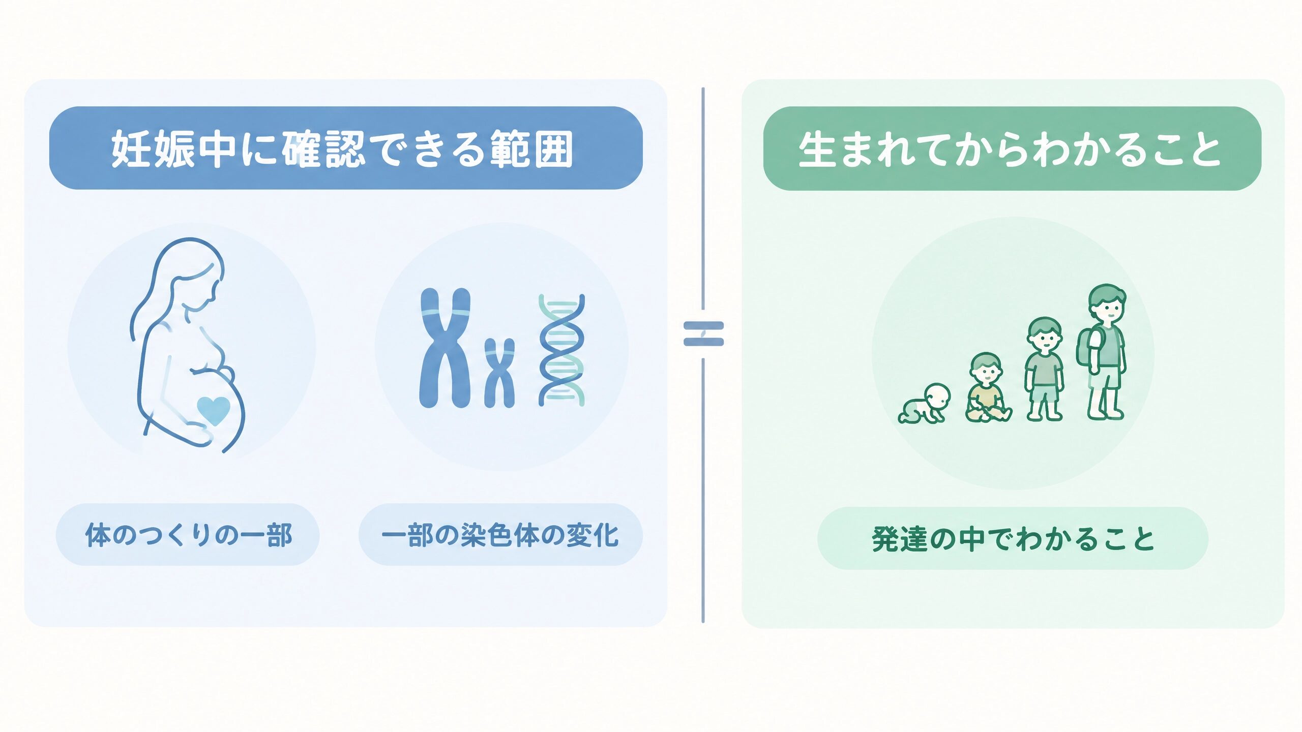 妊娠中の検査で確認できる範囲と出生後の成長でわかることを整理した比較図